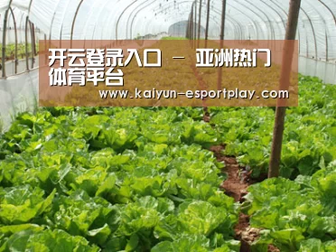 种植基地五