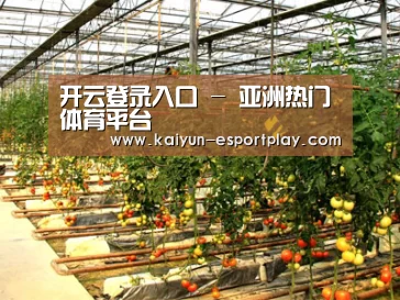 种植基地二