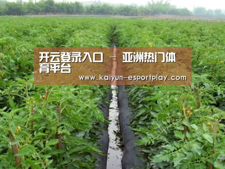 种植基地三
