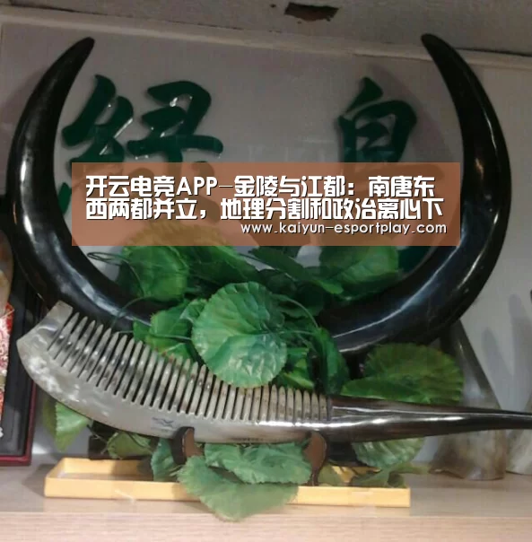 开云电竞APP-金陵与江都:南唐东西两都并立,地理分割和政治离心下的现实抉择(图1) 开云电竞APP