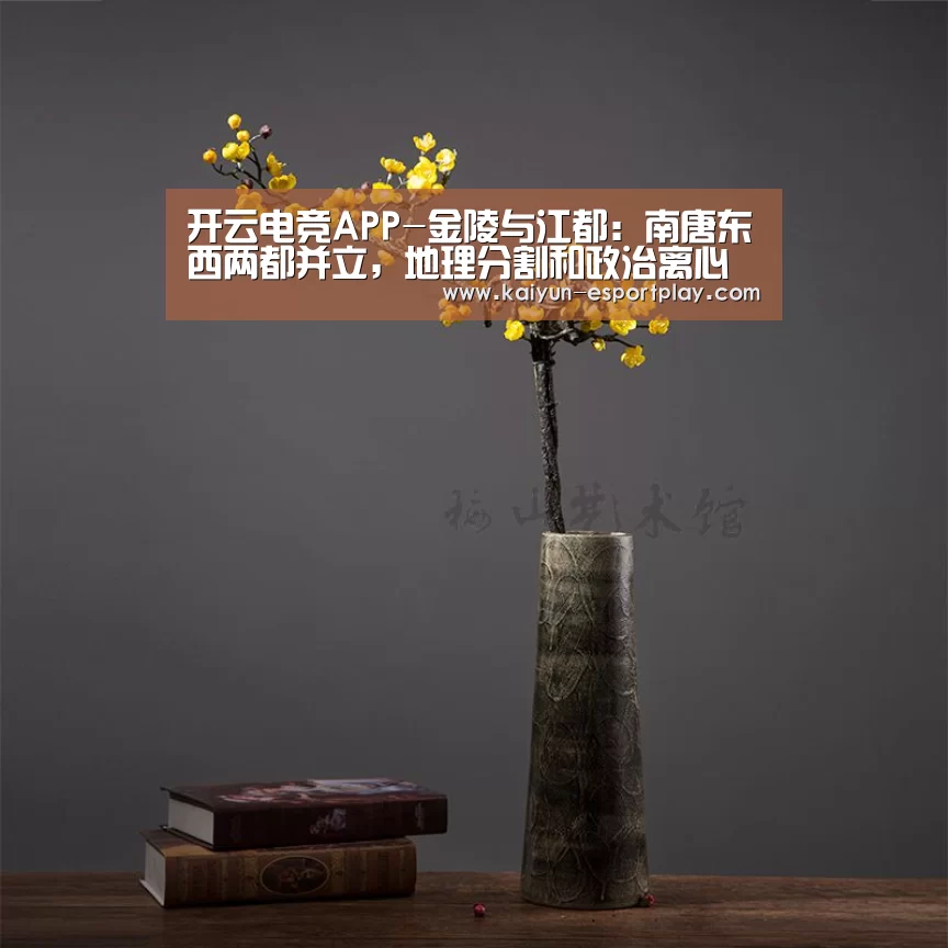 开云电竞APP-金陵与江都:南唐东西两都并立,地理分割和政治离心下的现实抉择(图2) 开云真人娱乐中心