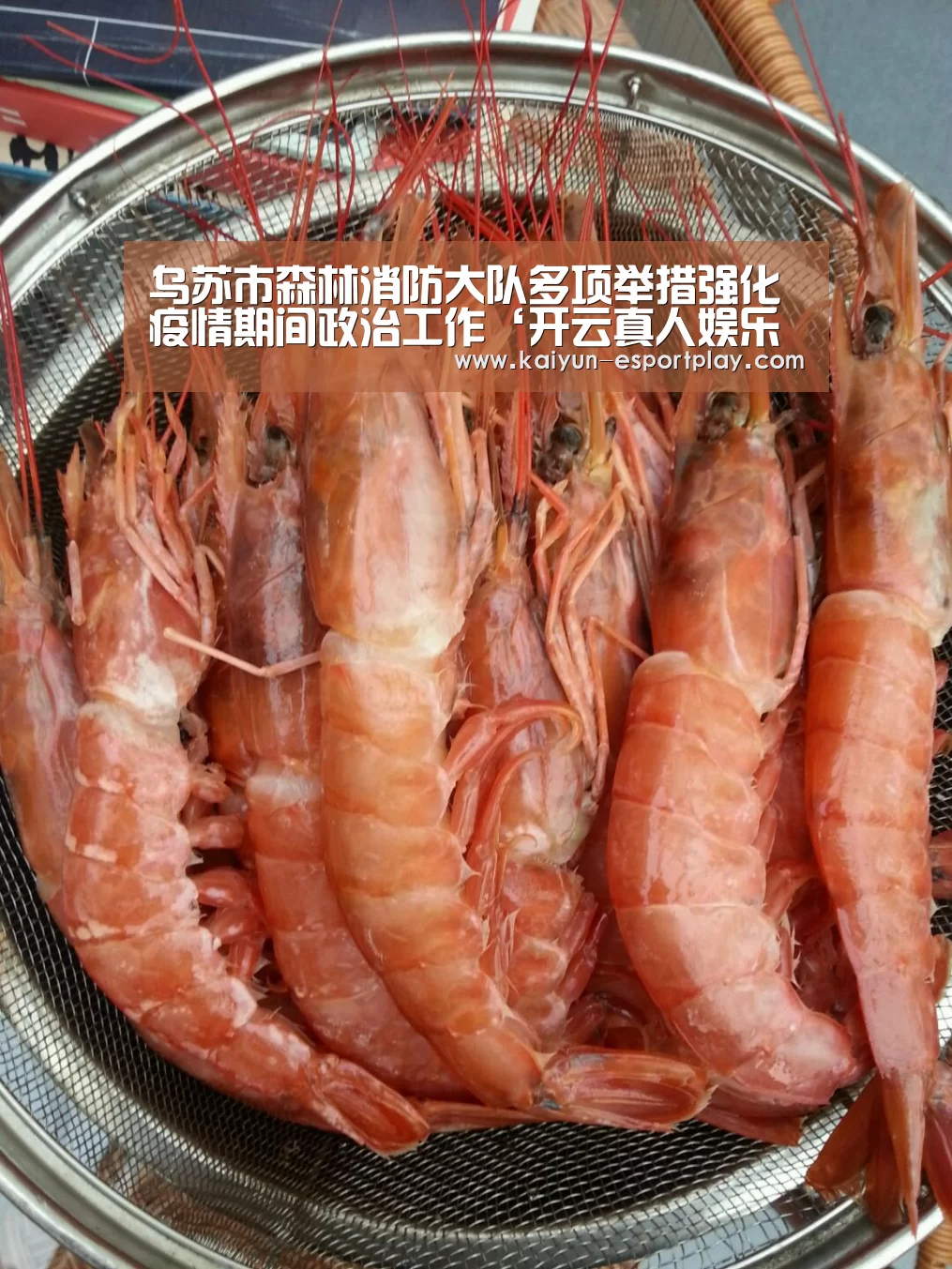 开云电竞APP