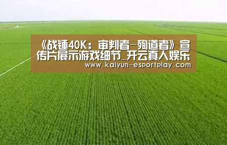 《战锤40K:审判者-殉道者》宣传片展示游戏细节_开云真人娱乐中心(图1) 开云登录入口