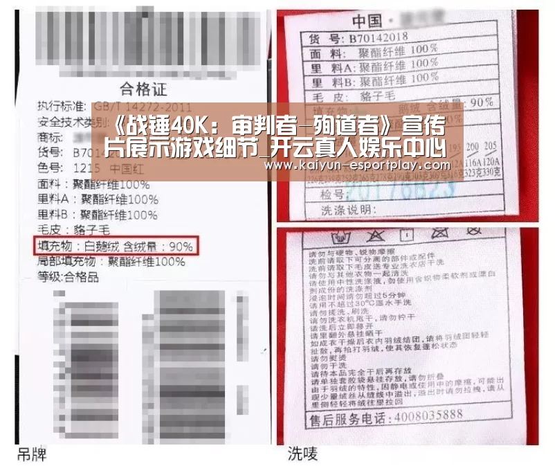 《战锤40K:审判者-殉道者》宣传片展示游戏细节_开云真人娱乐中心(图2) 开云真人娱乐中心